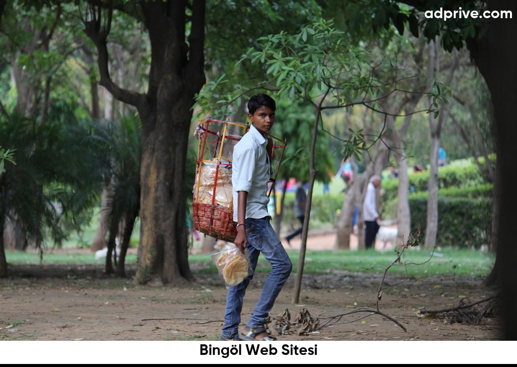 Bingol Web Sitesi6