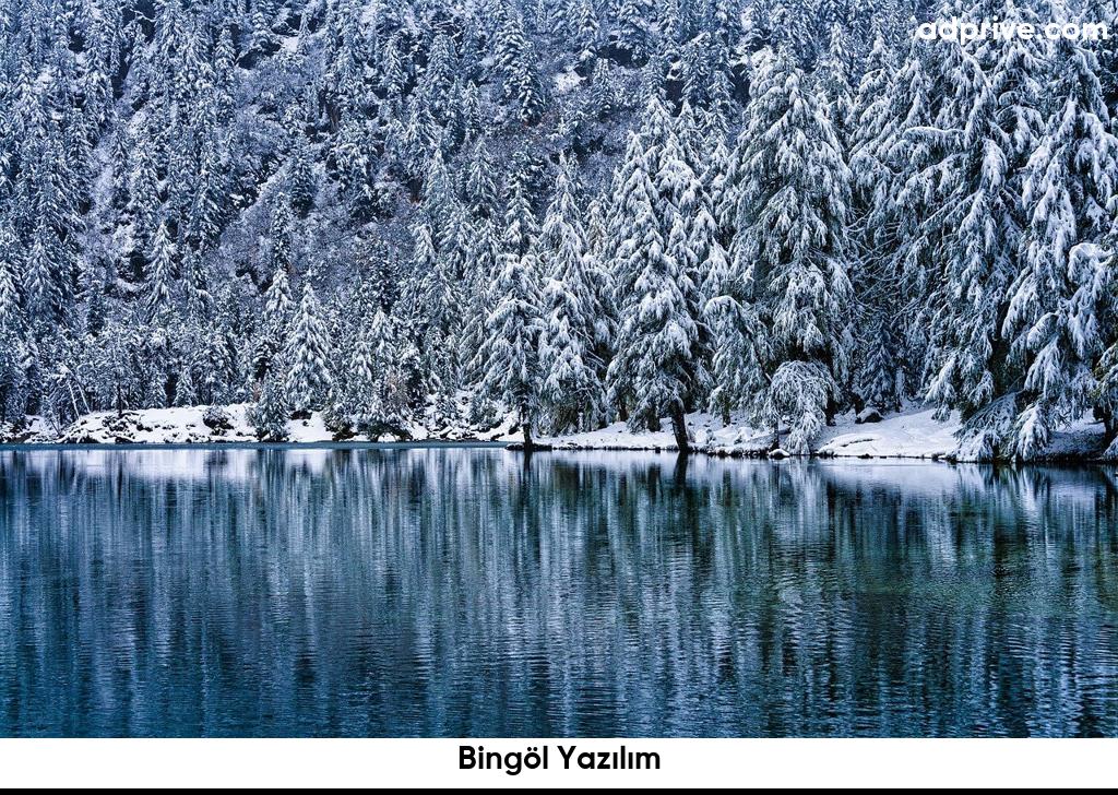 Bingol Yazilim6