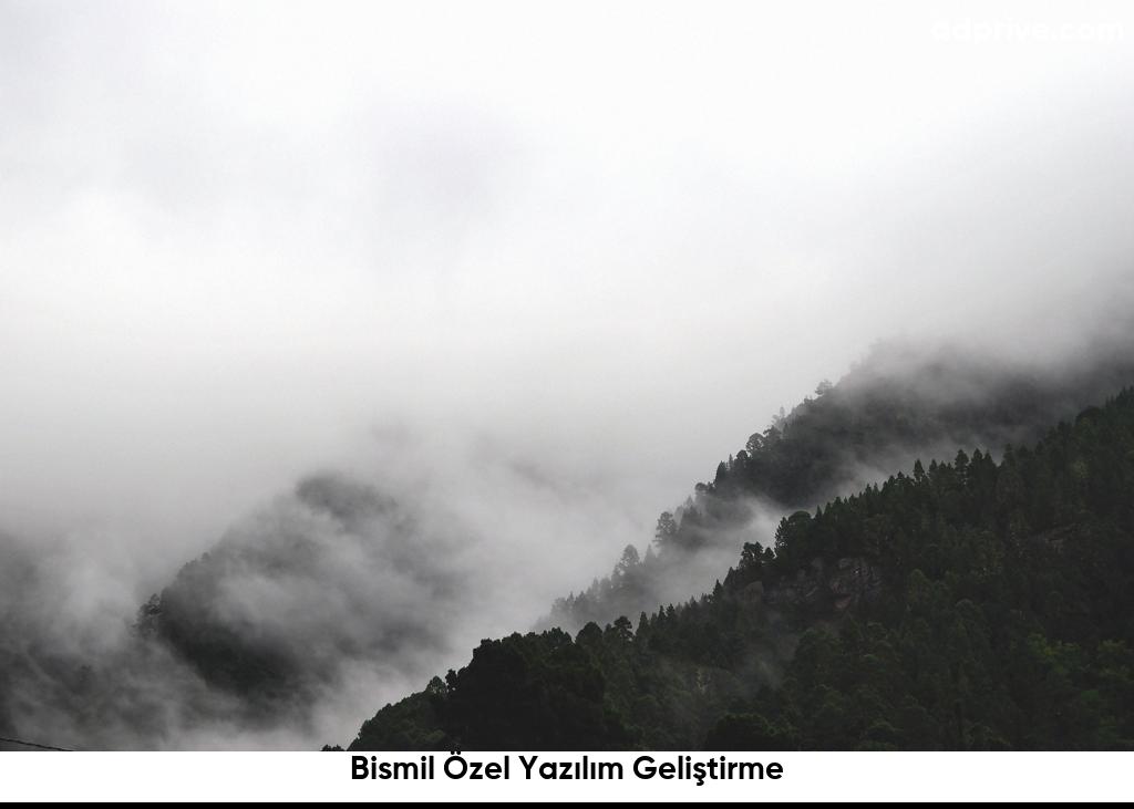 Bismil Özel Yazılım Geliştirme6