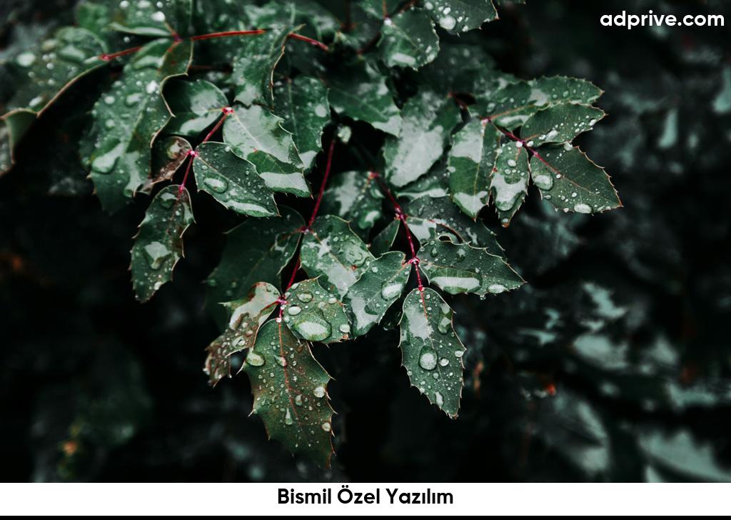 Bismil Özel Yazılım6