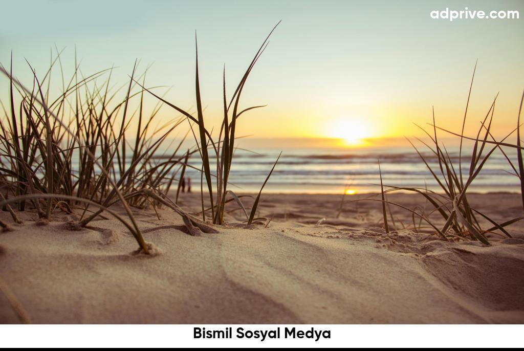 Bismil Sosyal Medya6