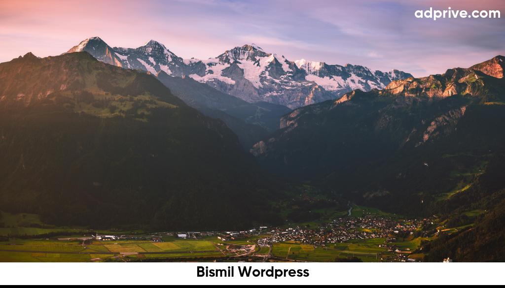 Bismil Wordpress6