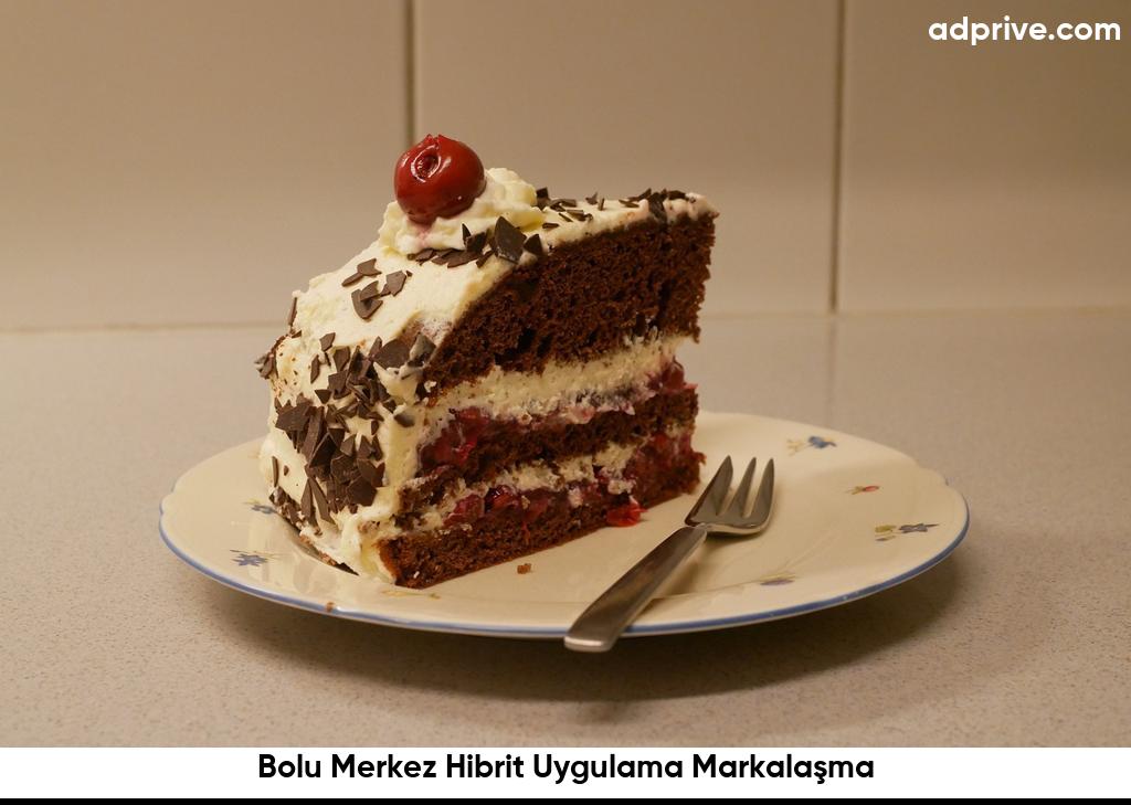 Bolu Merkez Hibrit Uygulama Markalaşma6