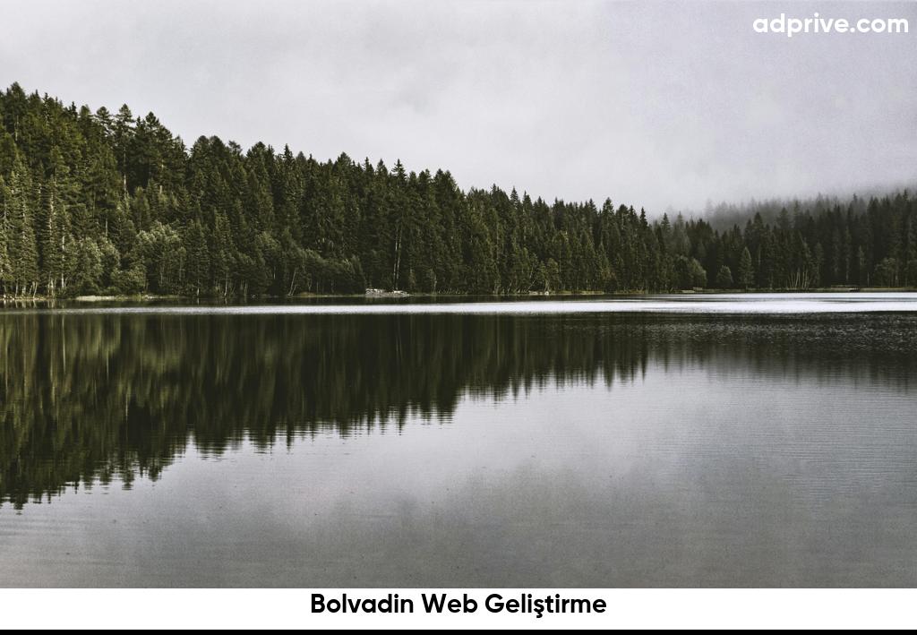 Bolvadin Web Gelistirme6