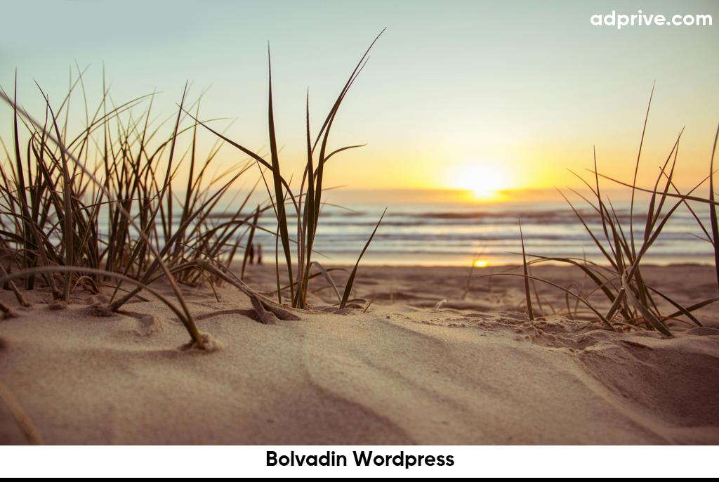 Bolvadin Wordpress6