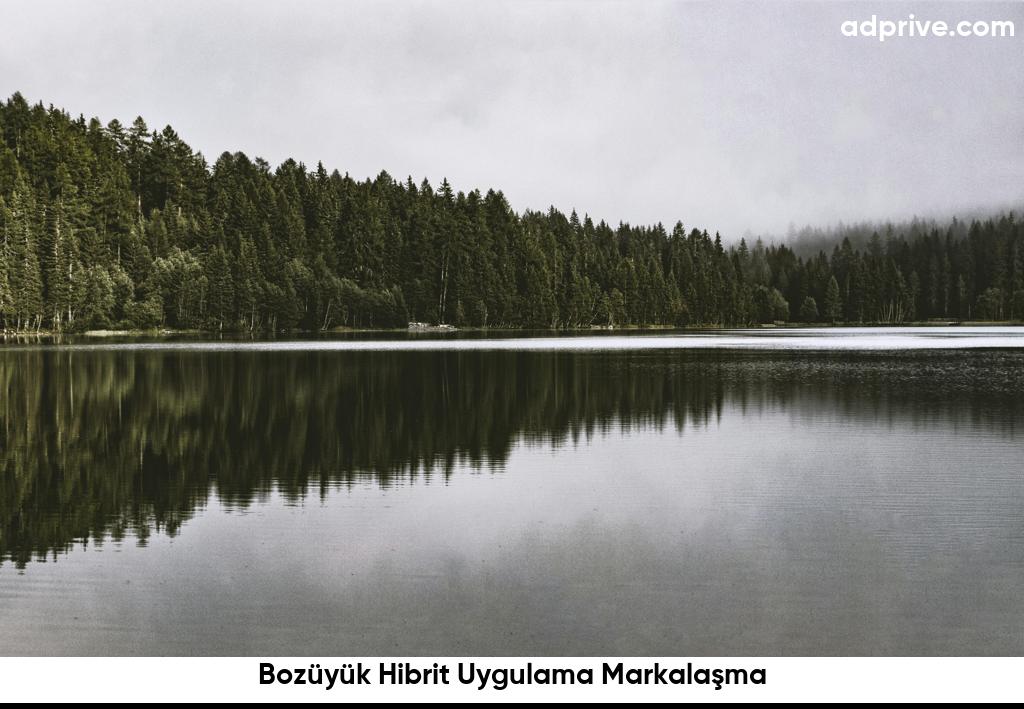 Bozüyük Hibrit Uygulama Markalaşma6