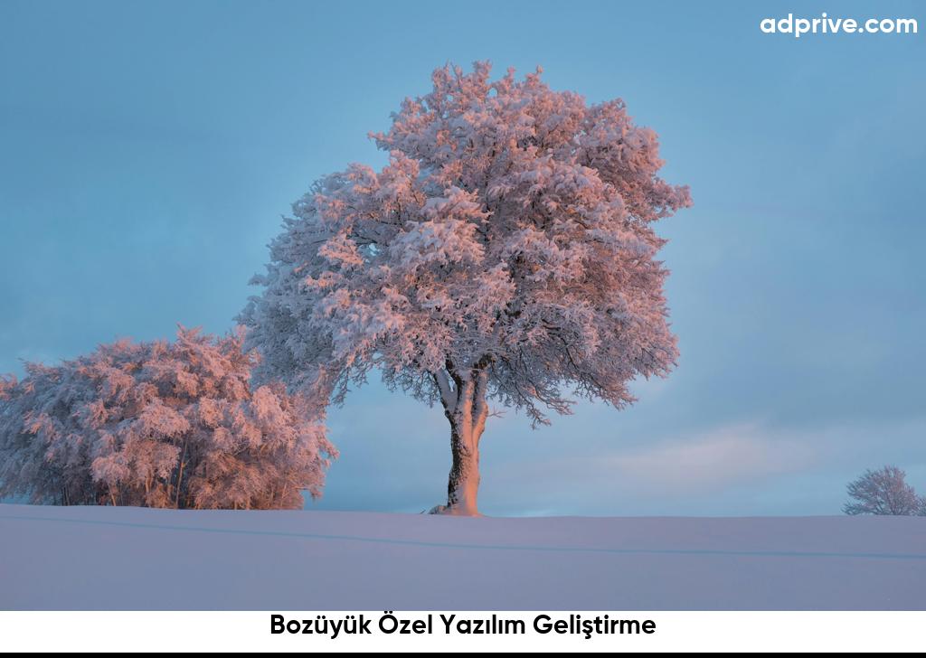 Bozüyük Özel Yazılım Geliştirme6