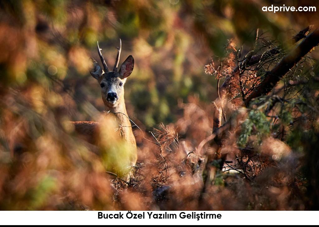 Bucak Özel Yazılım Geliştirme6