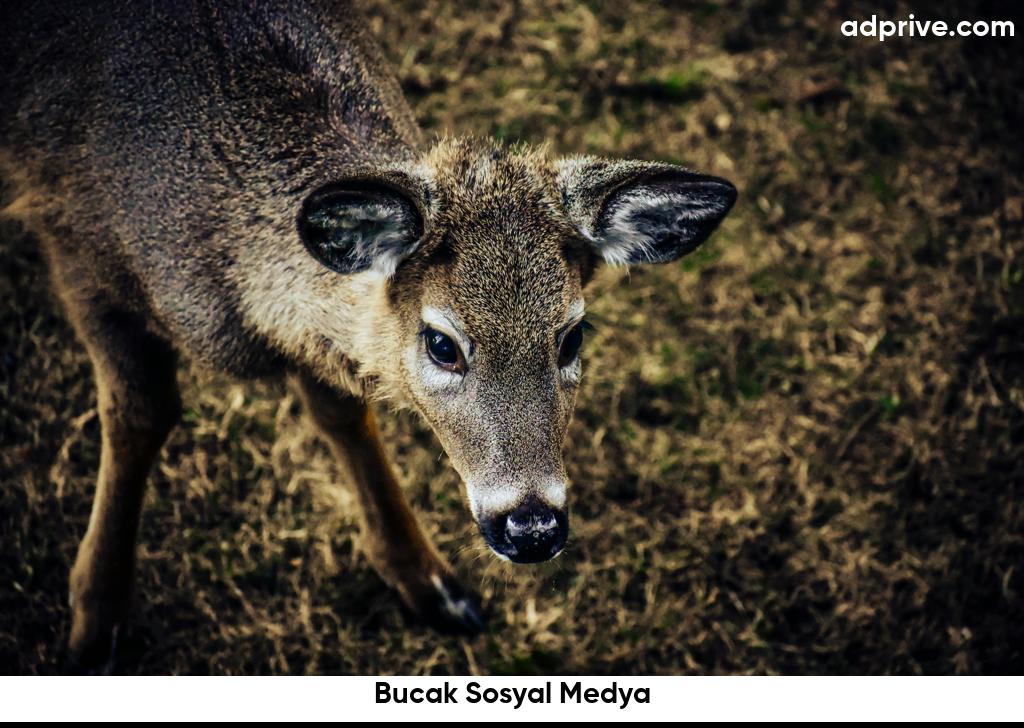 Bucak Sosyal Medya6