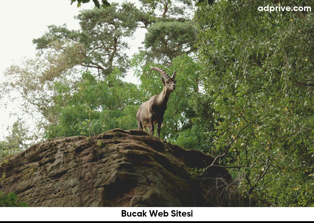 Bucak Web Sitesi6