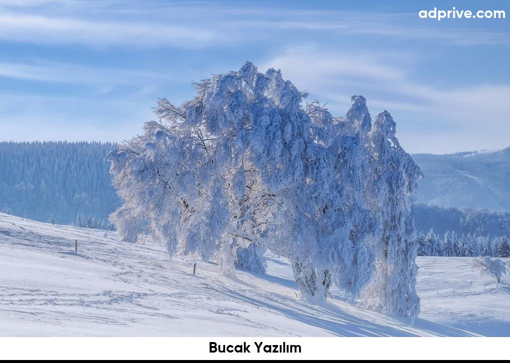 Bucak Yazılım6