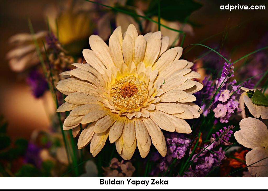 Buldan Yapay Zeka6