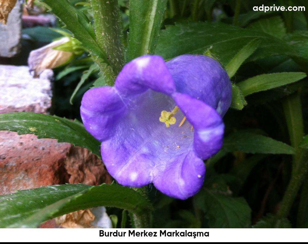 Burdur Merkez Markalaşma6