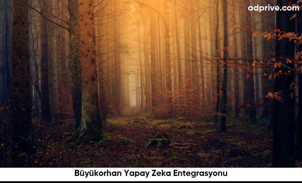 Büyükorhan Yapay Zeka Entegrasyonu6