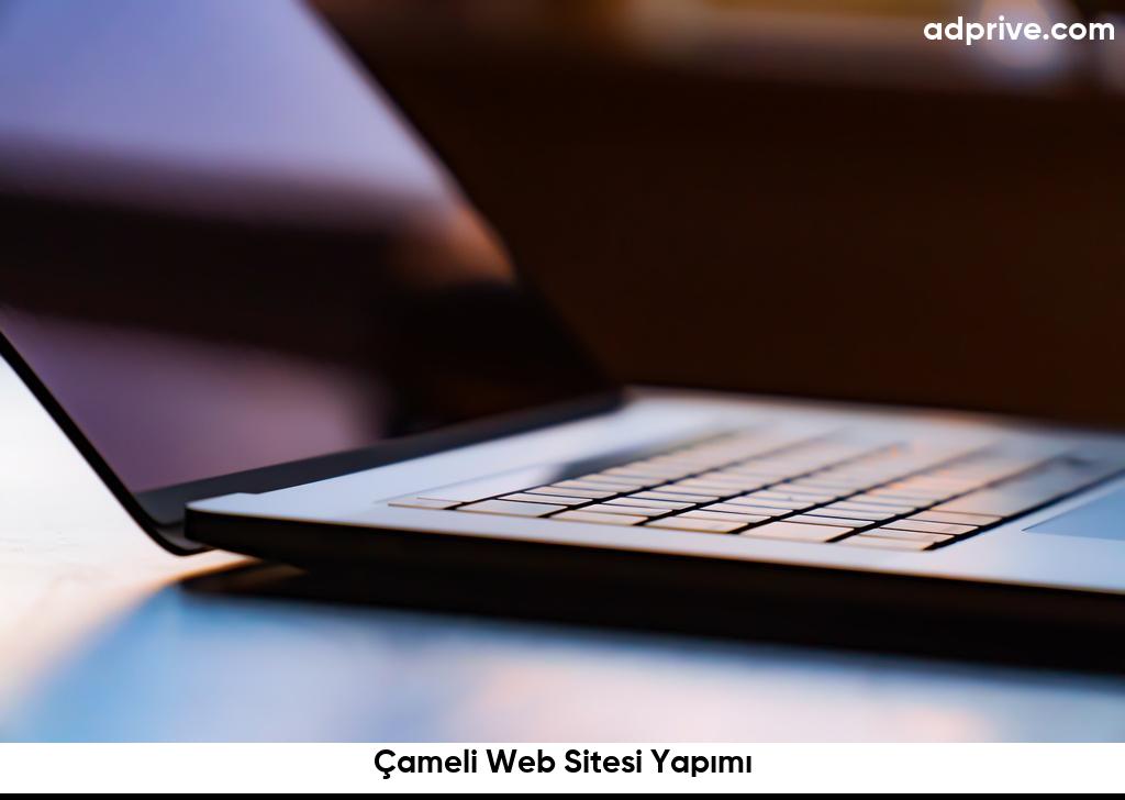 Çameli Web Sitesi Yapımı6