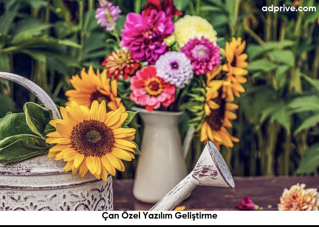 Çan Özel Yazılım Geliştirme6