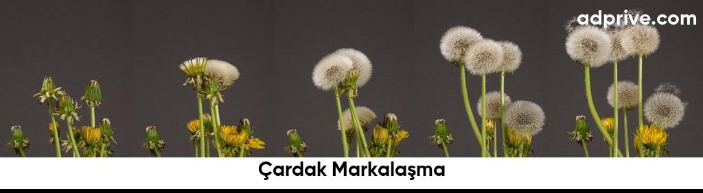 Çardak Markalaşma6