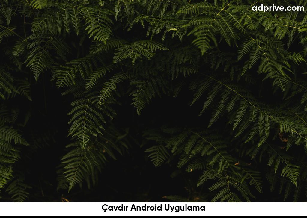 Çavdır Android Uygulama6