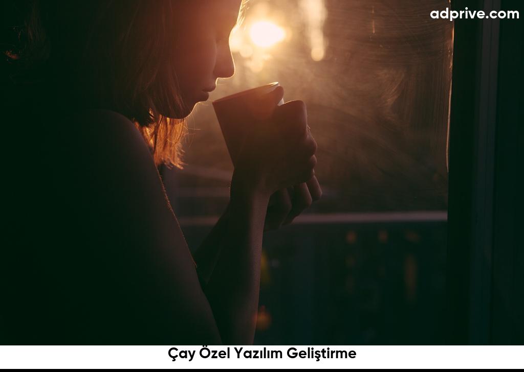 Cay Ozel Yazilim Gelistirme6