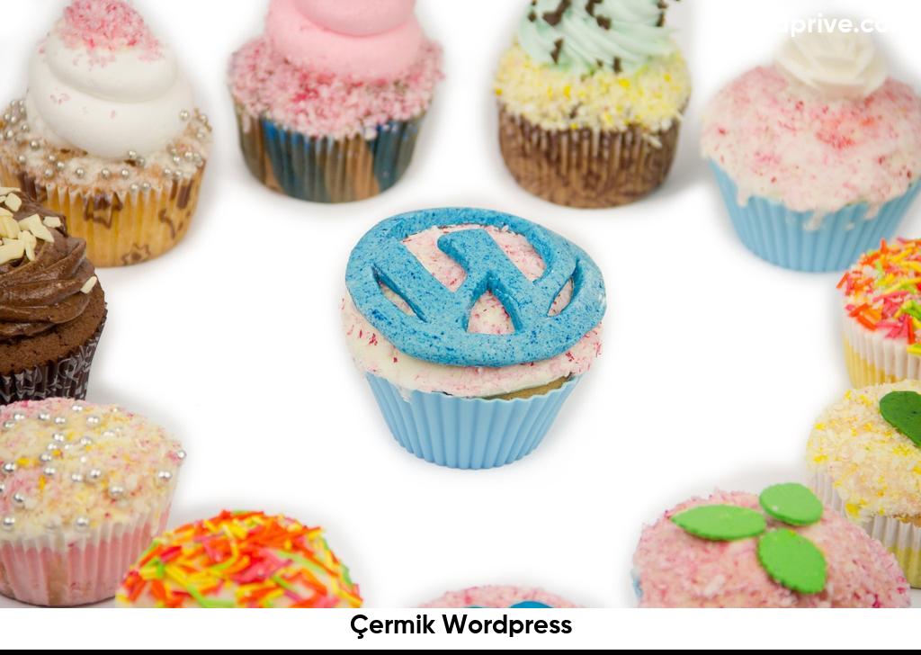 Çermik Wordpress6