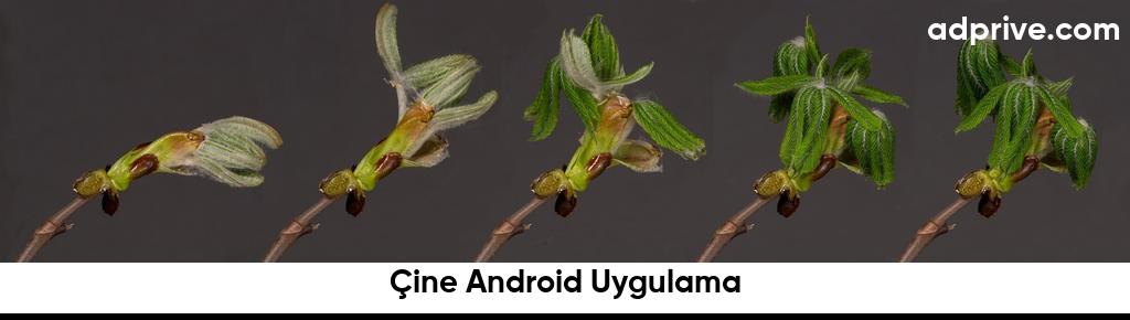 Çine Android Uygulama6