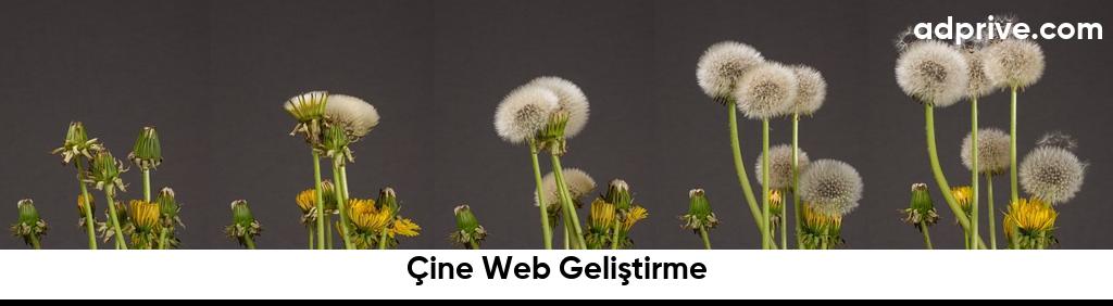 Çine Web Geliştirme6