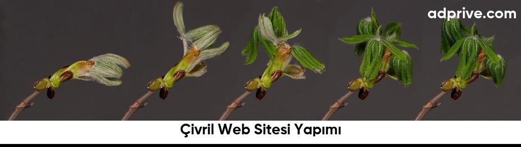 Çivril Web Sitesi Yapımı6