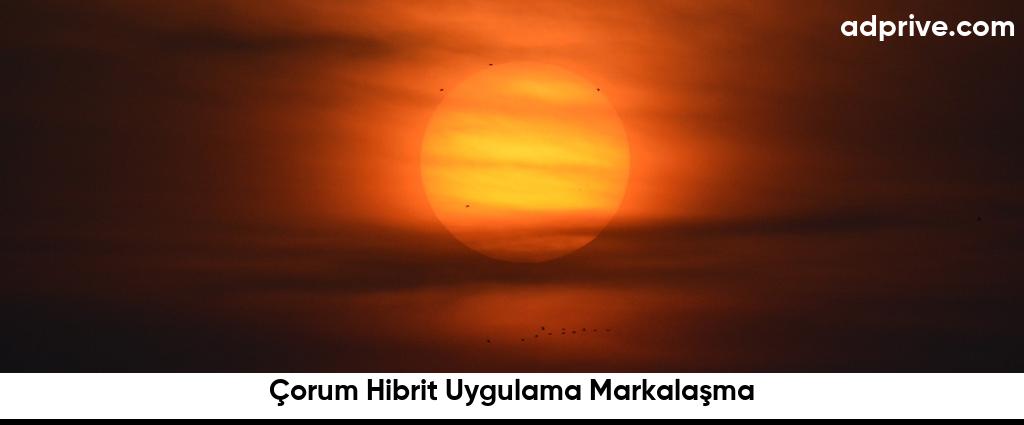 Corum Hibrit Uygulama Markalasma6