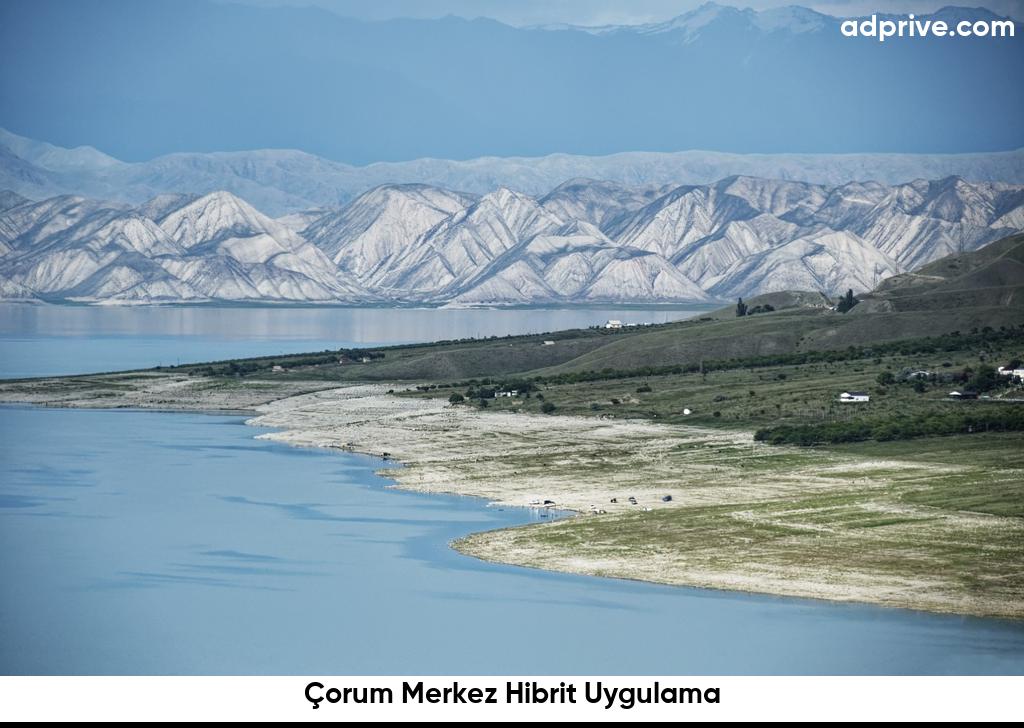 Çorum Merkez Hibrit Uygulama6