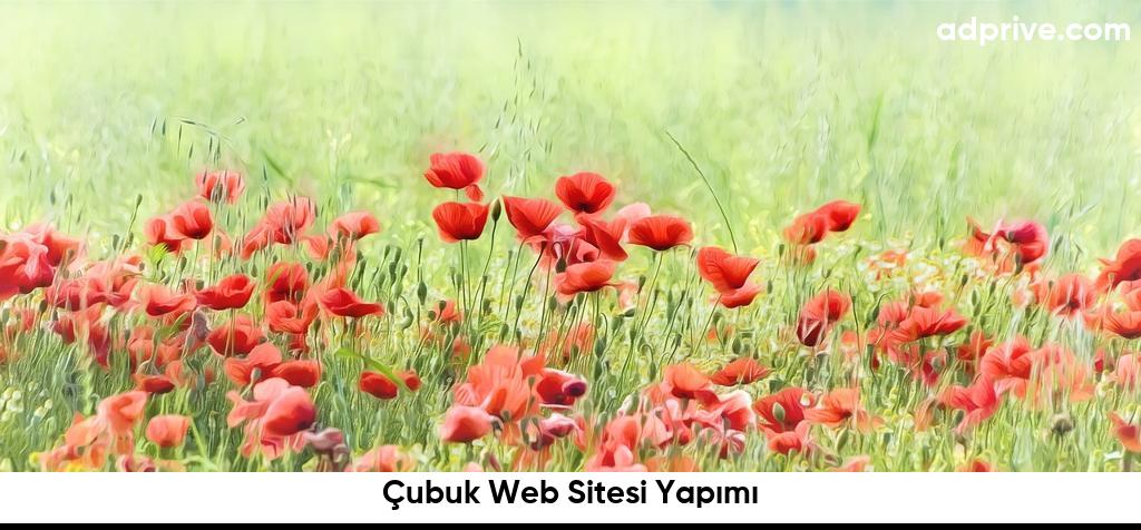 Çubuk Web Sitesi Yapımı6