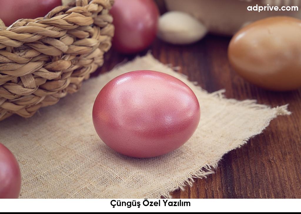 Çüngüş Özel Yazılım6