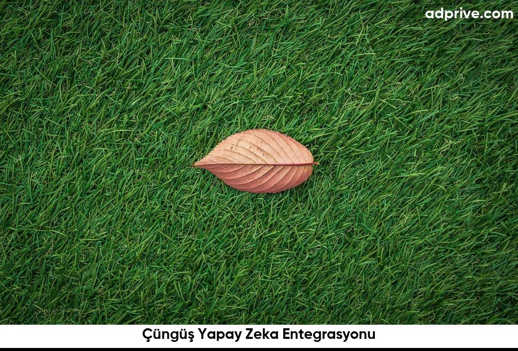 Çüngüş Yapay Zeka Entegrasyonu6