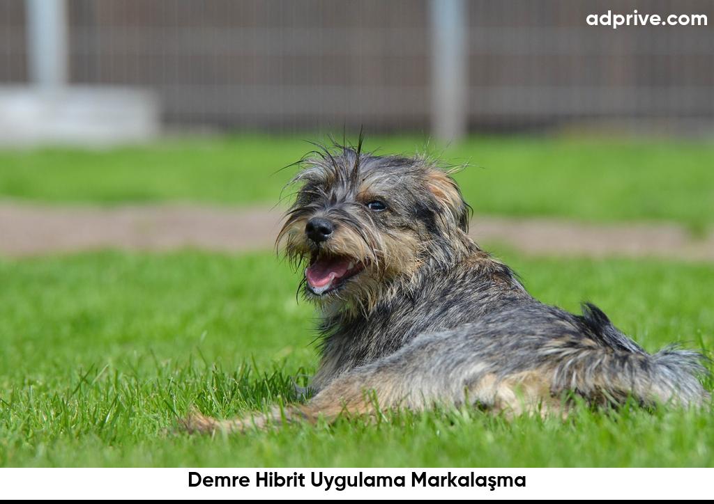 Demre Hibrit Uygulama Markalaşma6