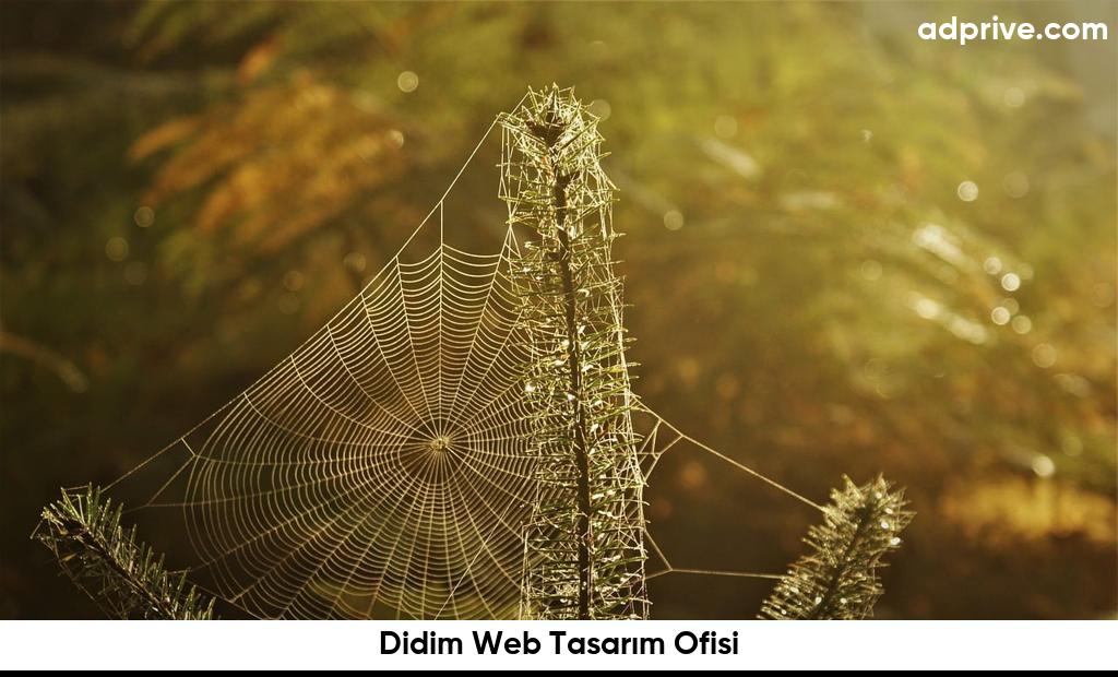 Didim Web Tasarım Ofisi6