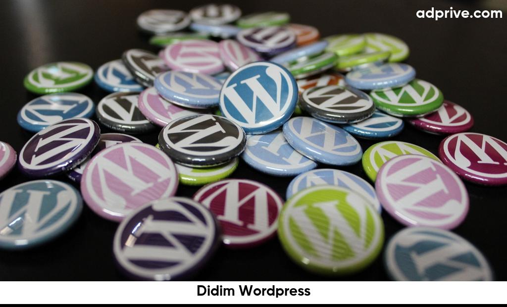 Didim Wordpress6