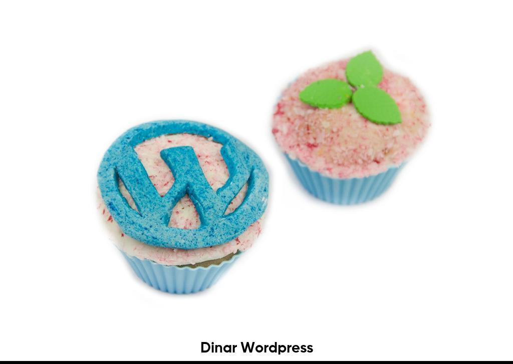 Dinar Wordpress6