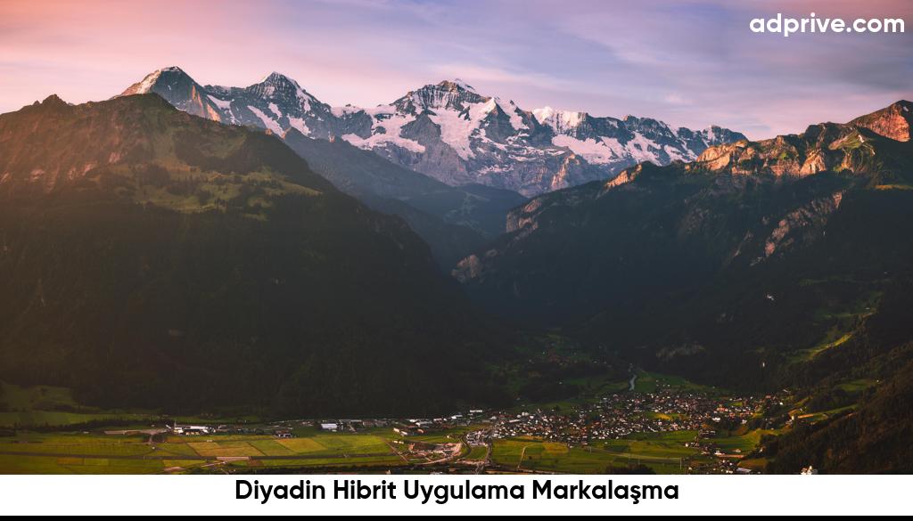 Diyadin Hibrit Uygulama Markalaşma6