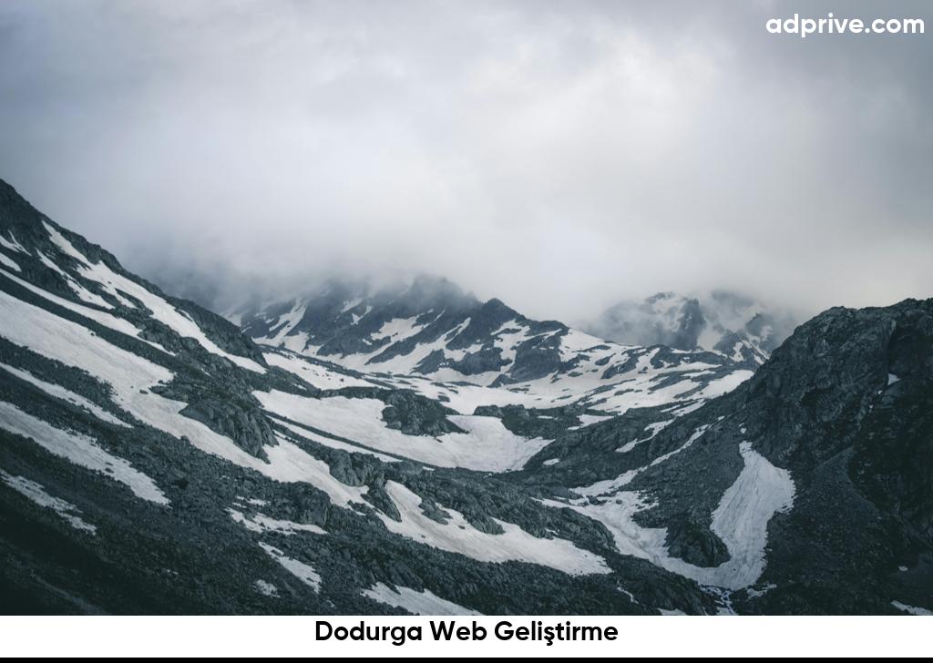 Dodurga Web Geliştirme6