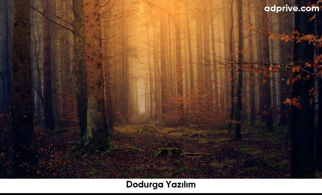 Dodurga Yazılım6