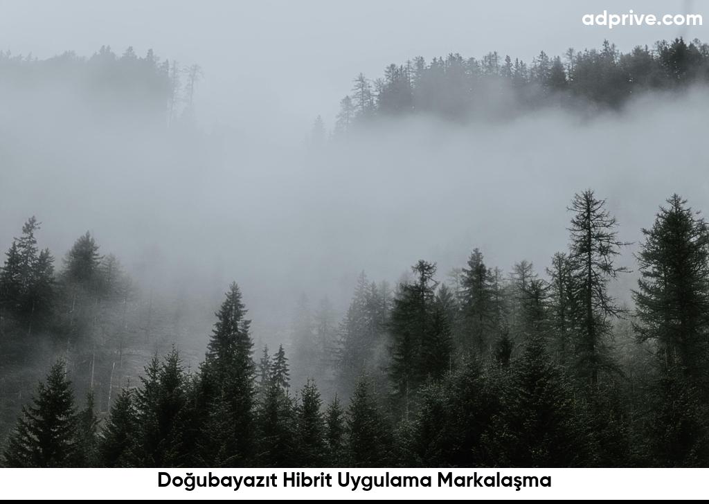 Doğubayazıt Hibrit Uygulama Markalaşma6