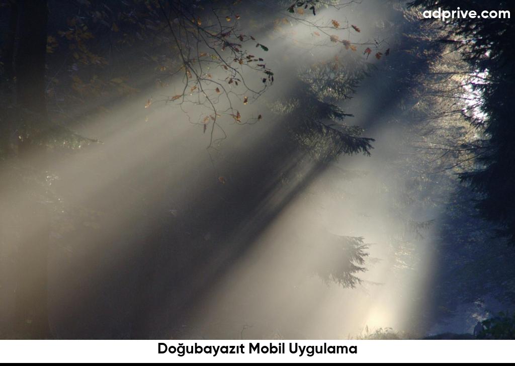 Doğubayazıt Mobil Uygulama6