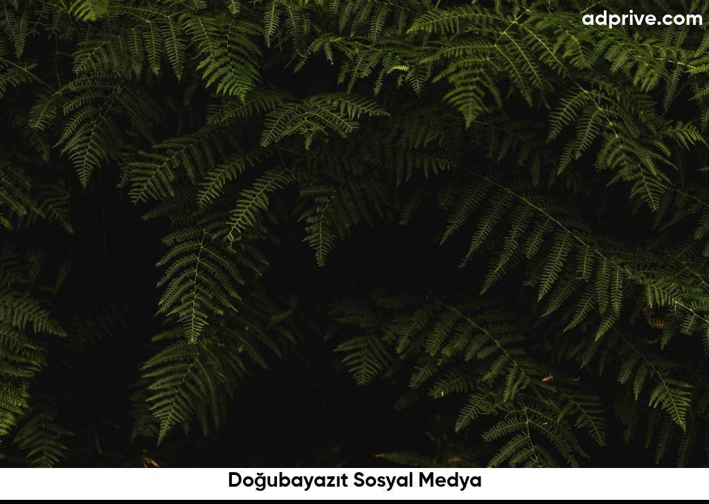 Doğubayazıt Sosyal Medya6