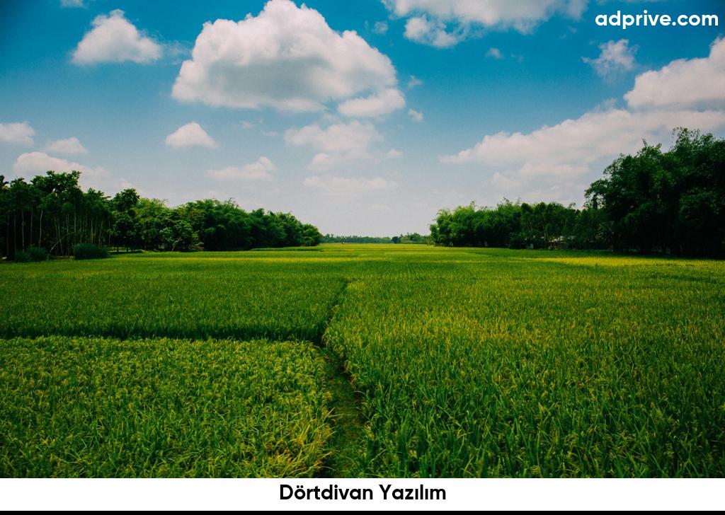 Dörtdivan Yazılım6