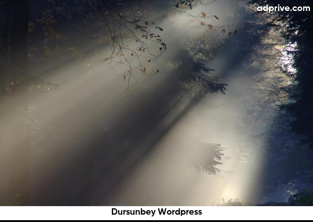 Dursunbey Wordpress6