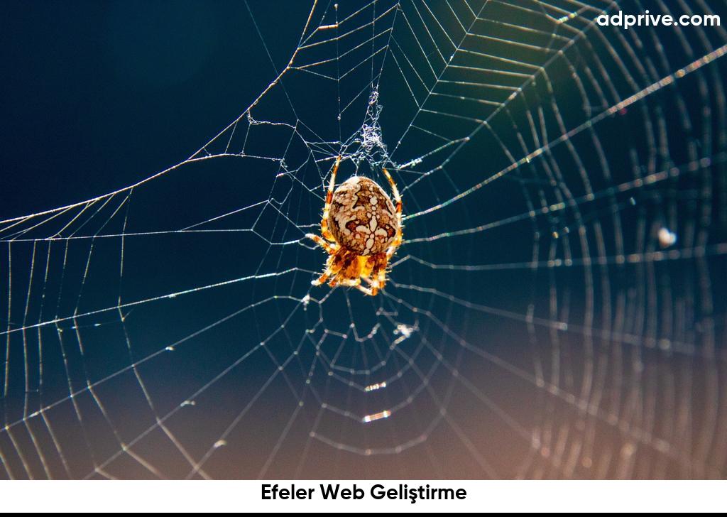 Efeler Web Geliştirme6