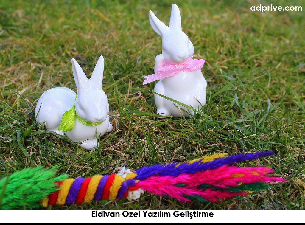 Eldivan Özel Yazılım Geliştirme6