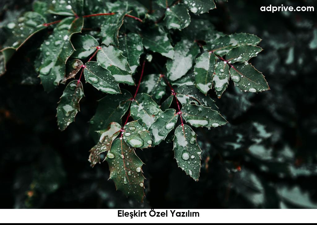 Eleşkirt Özel Yazılım6