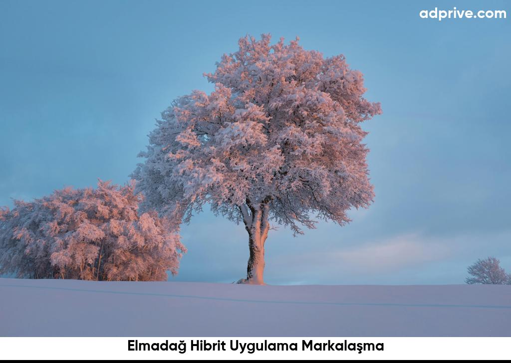 Elmadağ Hibrit Uygulama Markalaşma6