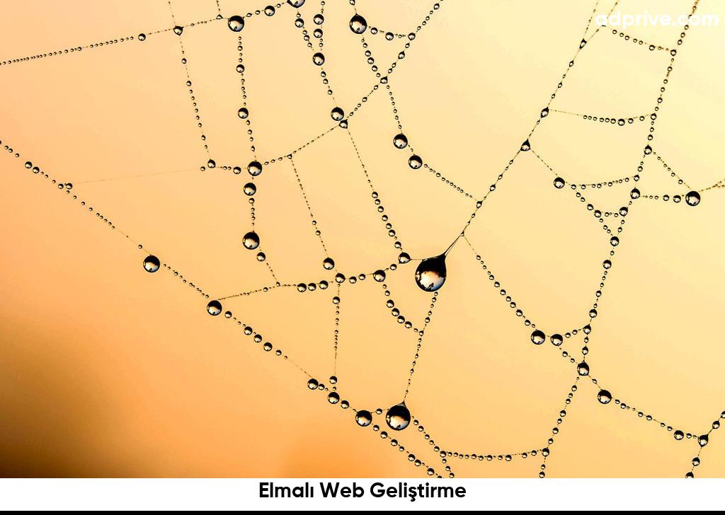 Elmalı Web Geliştirme6