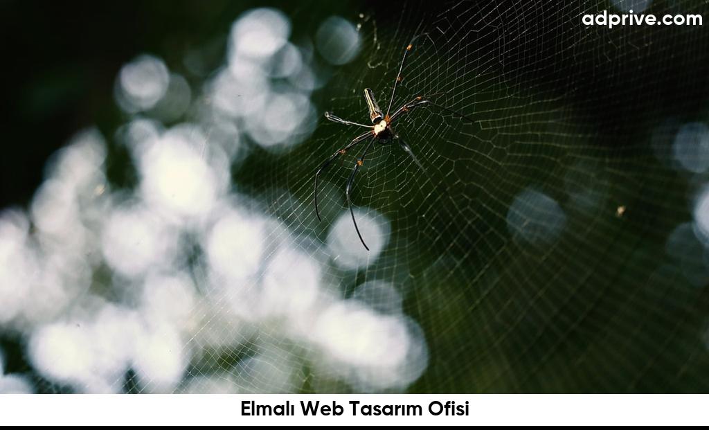 Elmalı Web Tasarım Ofisi6